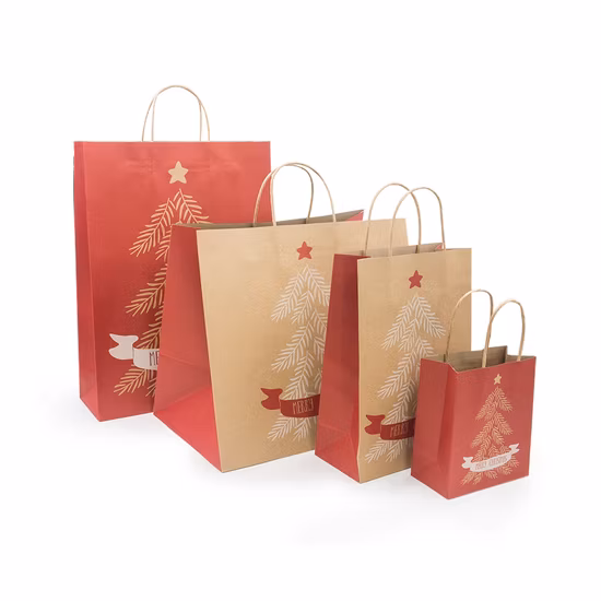 Paper Shopping Bags China Top Paper Bag Making Machine in Kerala